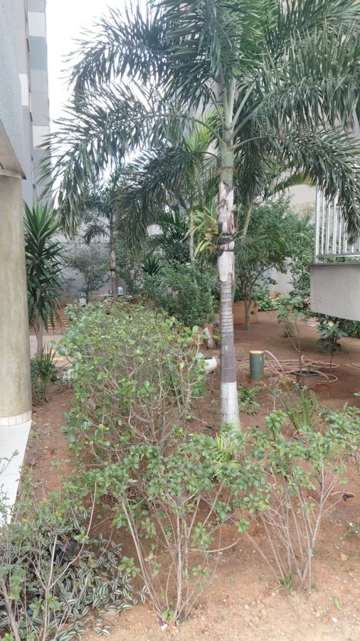 Apartamento, 2 quartos - Foto 12